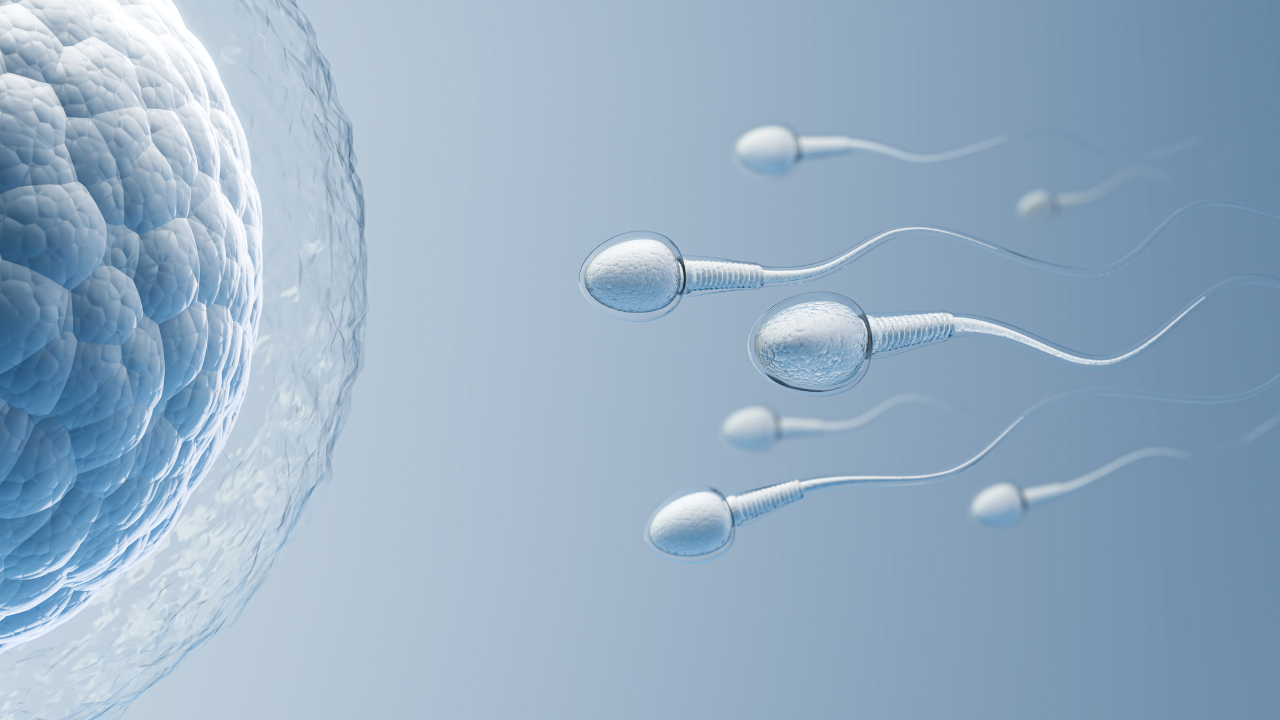 IRS Payment Plan Default