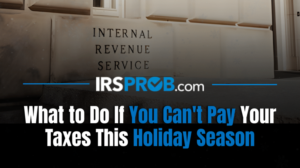 Can't Pay Taxes This Holiday Season